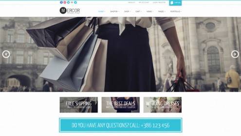 2-wordpress-ecommerce-themes