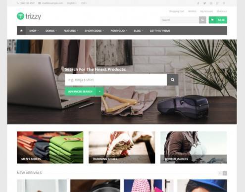 6-wordpress-ecommerce-themes