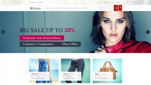 7-wordpress-ecommerce-themes