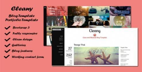 Cleany-Blog-Portfolio-Template-