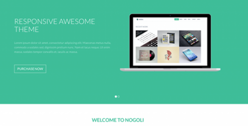 nogoli-awesome-responsive-theme