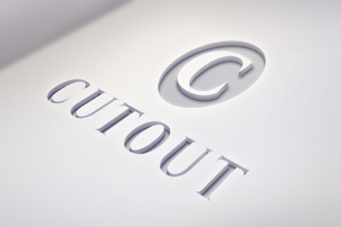 11.logo-mockup-psd3