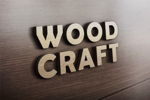 3.logo-mockup-psd