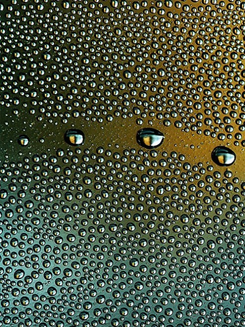 bubbles1