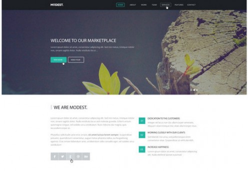 psdtemplates24