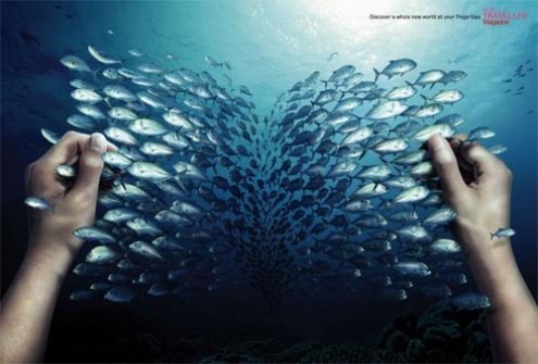 traveller-magazine1