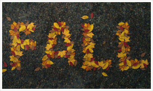 autumn-leaves