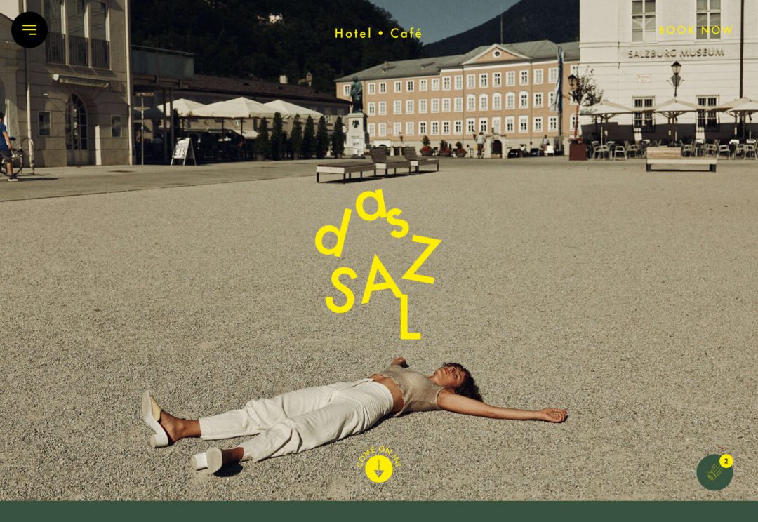 040-dassalz