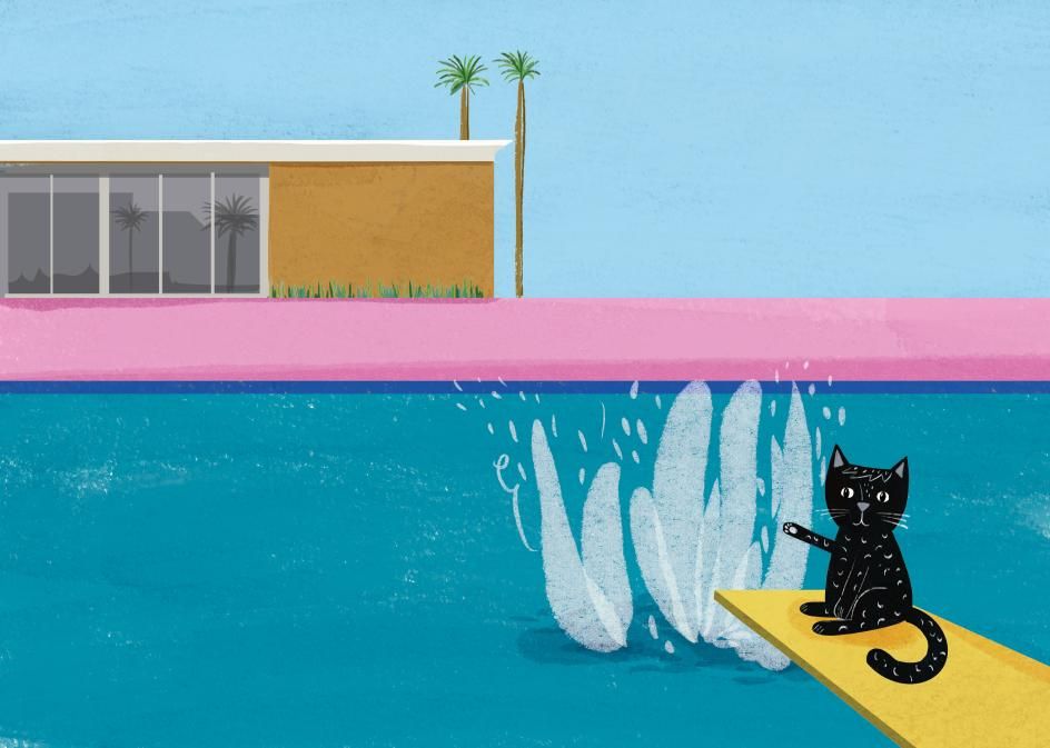 Nia Gould 以猫重新演绎 Hockney 经典场景三