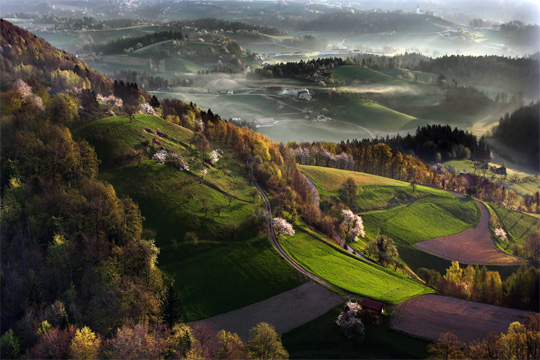 aerial photography