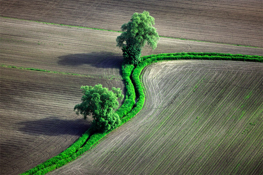 aerial photography