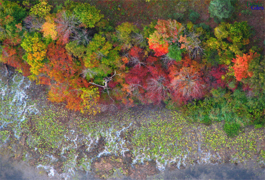 aerial photography