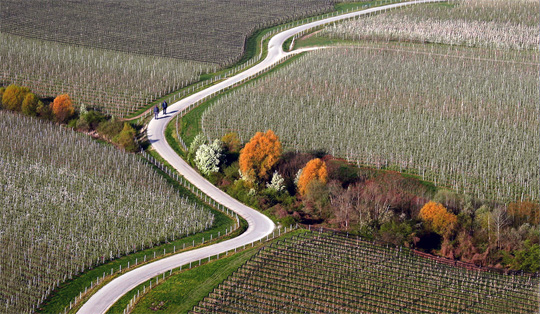 aerial photography