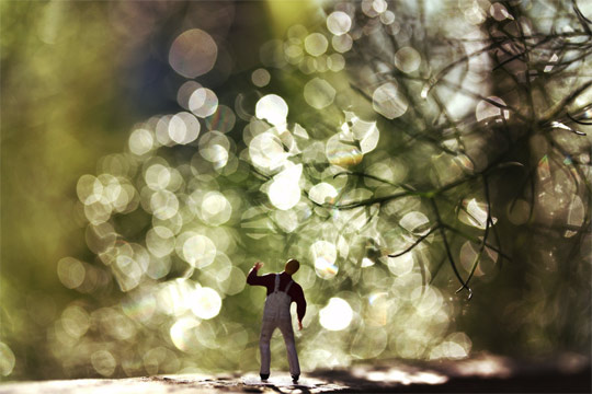 bokeh photography