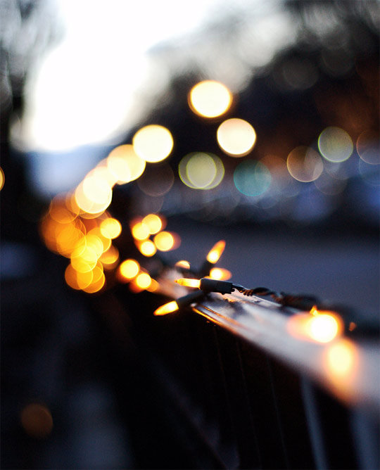 bokeh photography