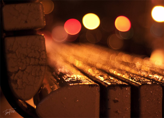 bokeh photography