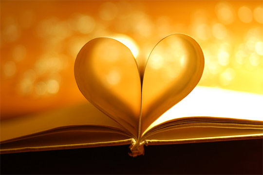 bokeh photography