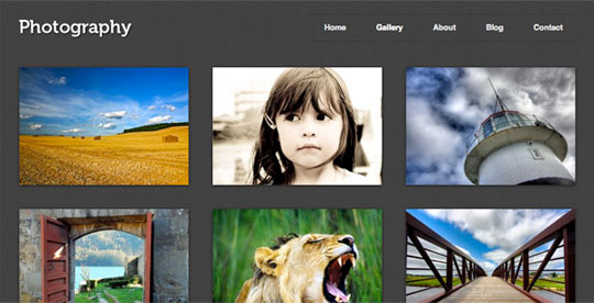 wordpress portfolio theme