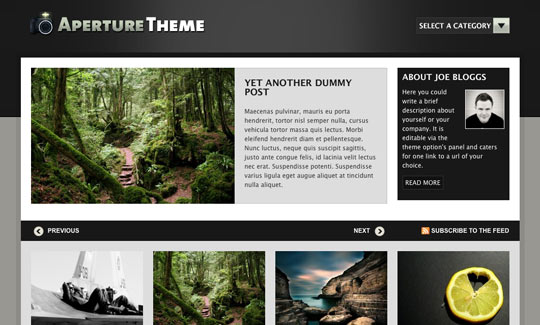 wordpress portfolio theme