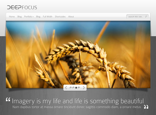 wordpress portfolio theme