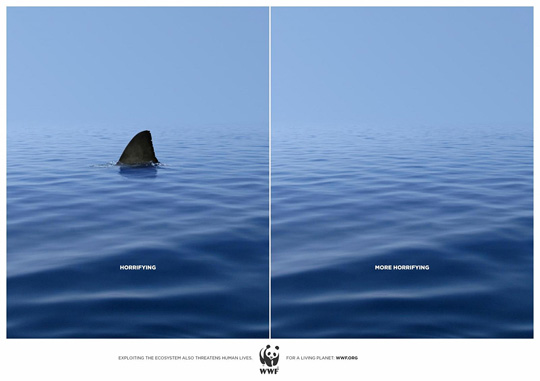 Print Ad - Disappearing Shark