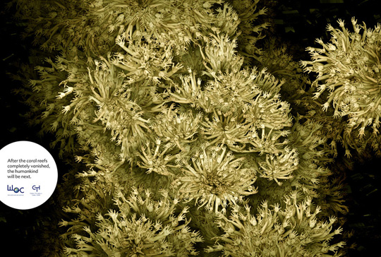 Print Ad - Human Arms Corals