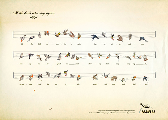 Print Ad - Captured Birds