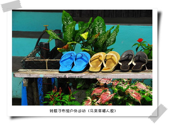 夏日记忆中的追念